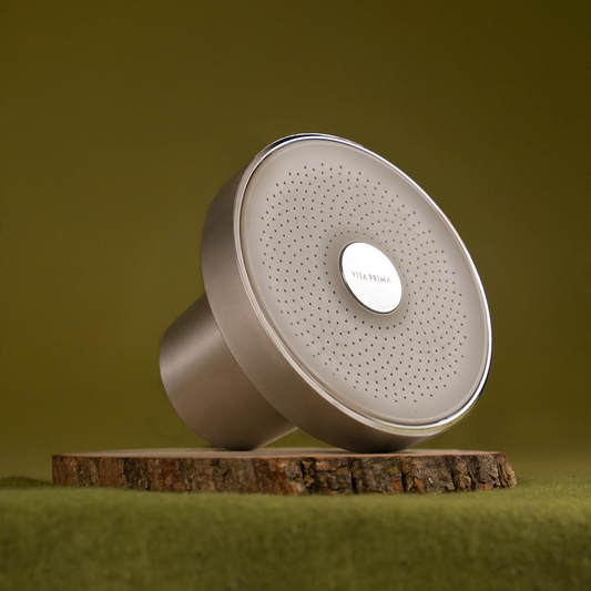 Filtered Shower Head